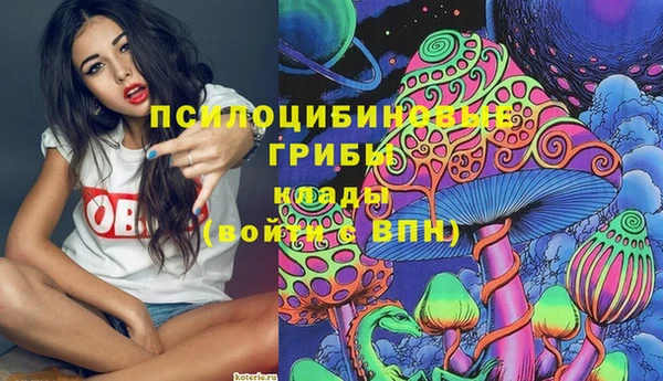 прущая мука Алзамай