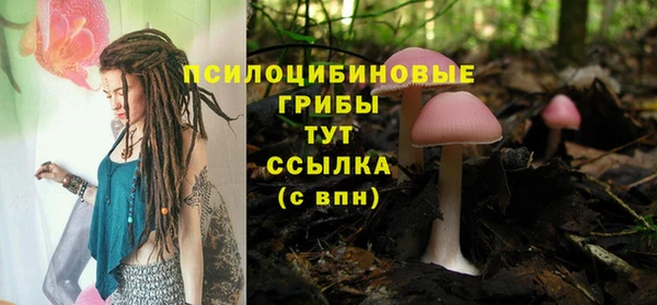 apvp Абаза