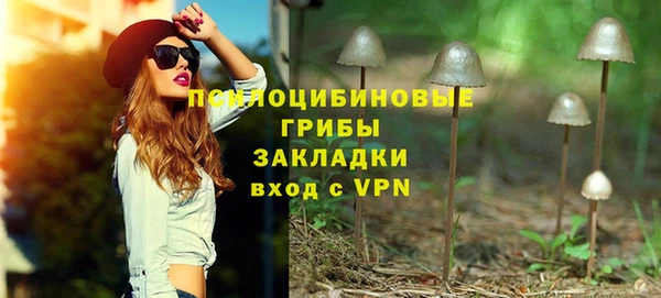 сатива Абинск